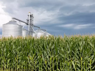 Alto Ingredients: A Promising Investment in Renewable Fuels