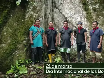 El Rol Esencial de los Bosques en la Regulación del Clima Global y la Generación de Agua