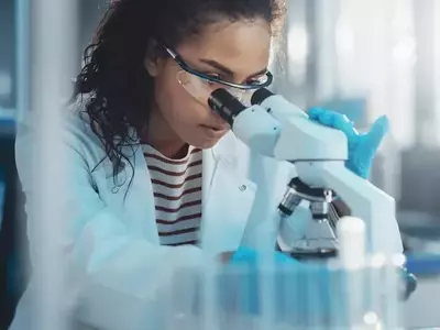 Fresenius Medical Care Stock Declines Despite Strong Quarterly Performance