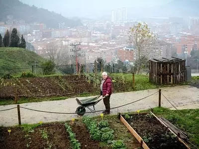 El Auge de los Huertos Urbanos en España: Un Compromiso con la Sostenibilidad y la Comunidad