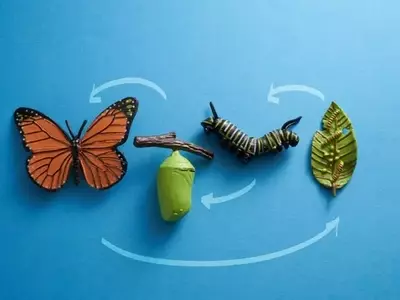 Caterpillar's AI Infrastructure Momentum vs. Valuation Risks