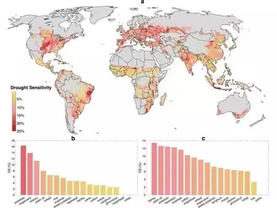 Descubriendo la Vulnerabilidad Agrícola Global ante la Sequía: Un Análisis Exhaustivo de Cultivos Críticos