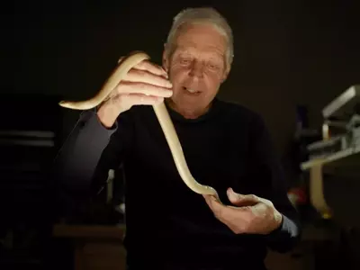 HBO's 'Monsters of God' Explores the Nuances of Reptile Trafficking