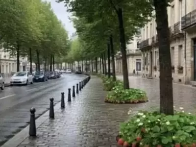 Fresas silvestres transforman entornos urbanos en Francia con un innovador enfoque de cosecha libre
