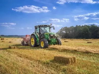 Malezas que Desafían la Sequía: El Raigrás Anual en Australia