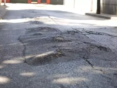 Algeciras Aborda Daños en Calles por Raíces de Árboles