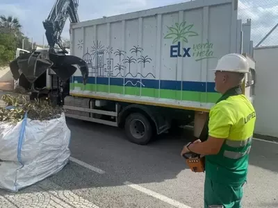 Cifras récord en la recolección de restos de poda en Camp d'Elx