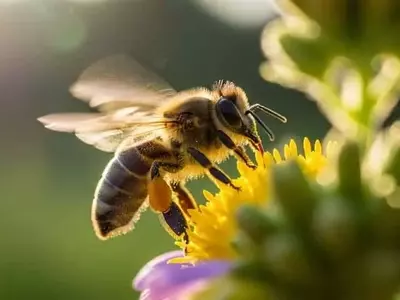 Exposición a Glifosato Disminuye Forrajeo de Abejas Melíferas