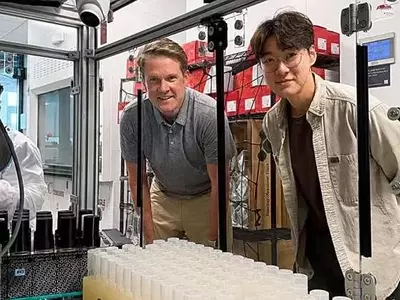 Avance Biotecnológico: Bacterias Modificadas Transforman Azúcares de Tallos de Maíz en Productos Útiles