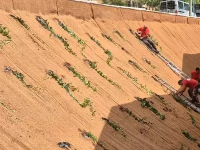 Mallas de fibra de coco: solución sostenible para jardinería en taludes