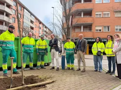 Revitalización Verde: Impulso a la Reforestación Urbana en España
