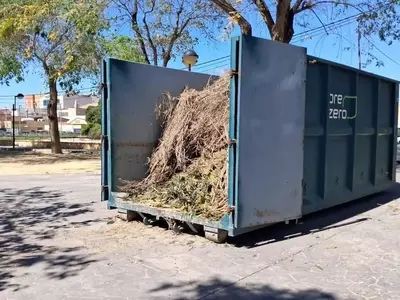 Murcia Lidera la Gestión Sostenible de Residuos Agrícolas con Cifras Récord en Recogida de Podas