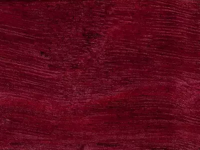 Descubriendo la Madera de Nazareno: Un Tesoro Púrpura de la Naturaleza