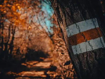 Explorando Senderos: Desde Caminos Spontáneos hasta Rutas Oficiales
