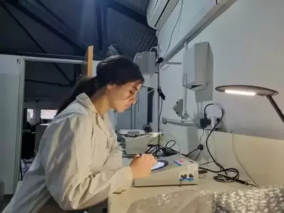Bacteria Argentina Ofrece Solución Prometedora Contra Toxinade Fusarium