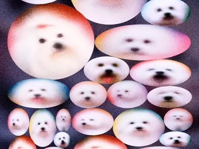 The Ethical Dilemma of Pet Cloning: Replicating Companionship
