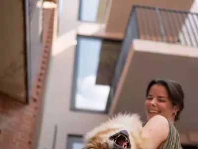 A Touching Farewell: Simon, the Beloved Dog Who Touched Millions, Embarks on a Cosmic Journey