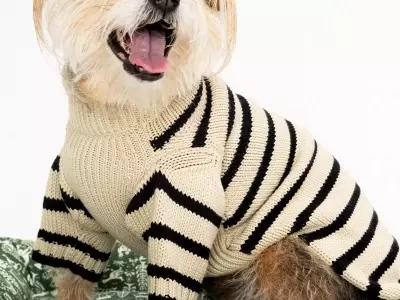Behind the Scenes of a Star-Studded Canine Photoshoot