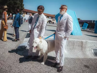 Fashion Week's Most Stylish Canines Steal the Spotlight