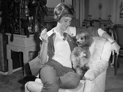 A Lifetime of Canine Companions: Julie Andrews and Emma Walton Hamilton's Enduring Love for Dogs