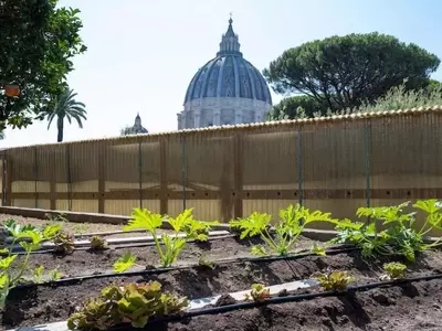El jardín orgánico del Vaticano: un oasis de tradición y conciencia ambiental