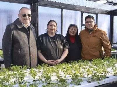 La Hidroponía: Un Avance Sostenible en la Producción Agrícola Global