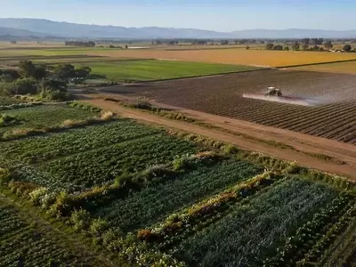 Influencia de la agricultura orgánica en el uso de pesticidas en California