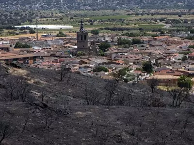 La Resurrección Verde de la Sierra Oeste: Un Plan Integral Post-Incendio