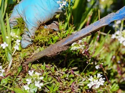 Estrategias Ecológicas para un Huerto Libre de Malezas: Guía Completa