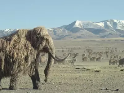 “Prehistoric Planet: Ice Age” Soundtrack Unleashes Ancient Sounds with Zimmer, Talve, and Rozman