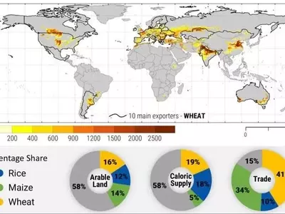 La Escasez Hídrica Global y su Impacto Exponencial en el Precio del Trigo