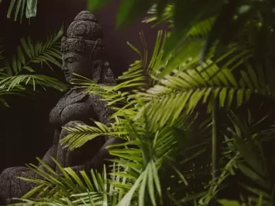 Transforma Tu Espacio Exterior: Una Guía Completa para un Jardín de Estilo Balinés