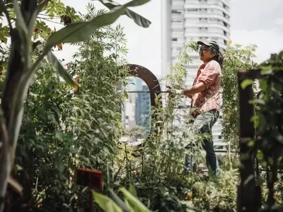 Transforma Tu Terraza: La Fusión Perfecta de Belleza y Nutrición en Tu Jardín Comestible