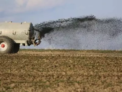 Dinamarca investiga el fósforo recuperado en tierras de cultivo