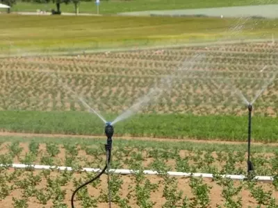 España impulsa la productividad agrícola a través de una innovadora gestión del agua