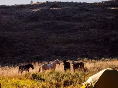 The Benefits of Sleeping Outdoors: A Guide to Nature-Immersed Retreats