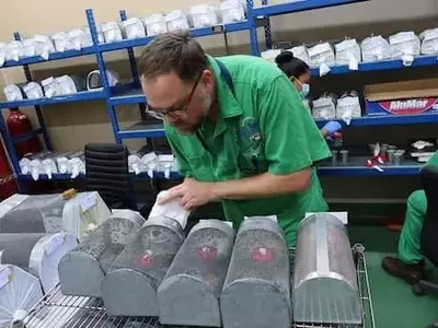 NovoFly: La Innovación Estadounidense Contra el Gusano Barrenador