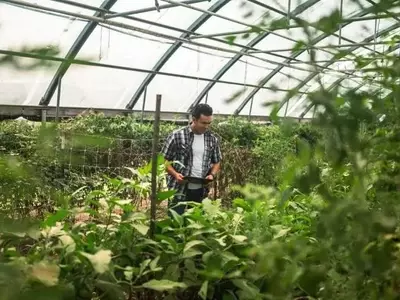 Cultivando Esperanza: El Impacto de la Agricultura Sostenible en la Integración de Refugiados