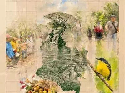 La iniciativa de las Concesiones Forestales Campesinas de Colombia: un camino hacia el desarrollo sostenible