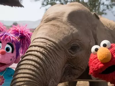Elmo and Friends Embark on an African Safari in 'Sesame Street and the Great Elephant Adventure'