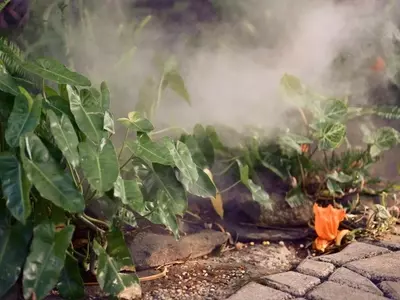 Crea tu Propio Oasis Brumoso: Guía para un Jardín de Niebla Envolvente