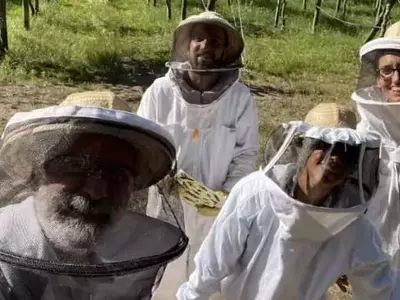 Mejora de la Polinización Agrícola a Través del Entrenamiento de Abejas con Aromas Sintéticos