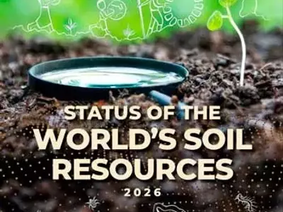 Panorama Global de los Suelos: Evaluación Crítica y Estrategias Sostenibles para 2026