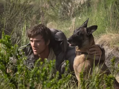 When and Where to Watch 'The Dog Stars' at Home