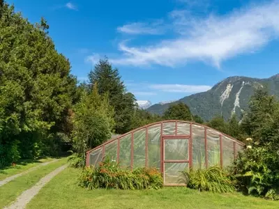 Cultivando sin Estaciones: El Arte de los Microclimas en el Jardín