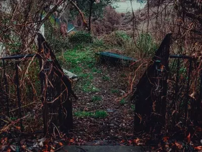 Revitalizando tu Jardín Olvidado: Una Guía Completa sin Grandes Gastos