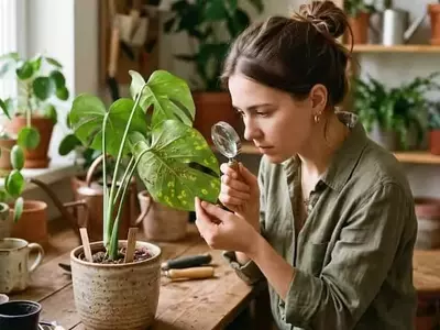 Detección Temprana de Plagas en Plantas: Una Guía Esencial para la Salud Vegetal