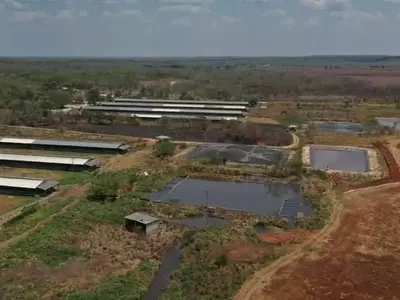 La Suprema Corte de México Ampara a Comunidades Mayas para Proteger su Agua de Plaguicidas