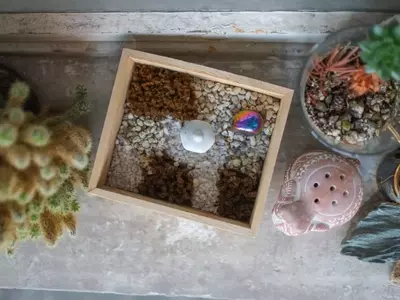 Cómo diseñar un jardín sensorial: una guía completa para estimular los sentidos