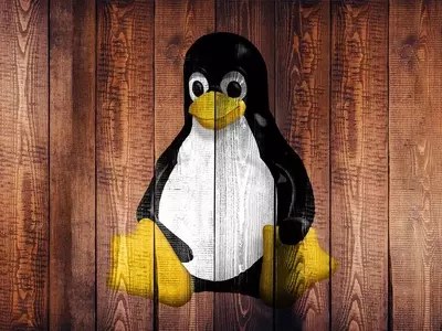 Linux Evades Age Verification Mandate in California, SteamOS Status Uncertain